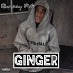 Ramzzy Peti – Ginger (Sped Up)